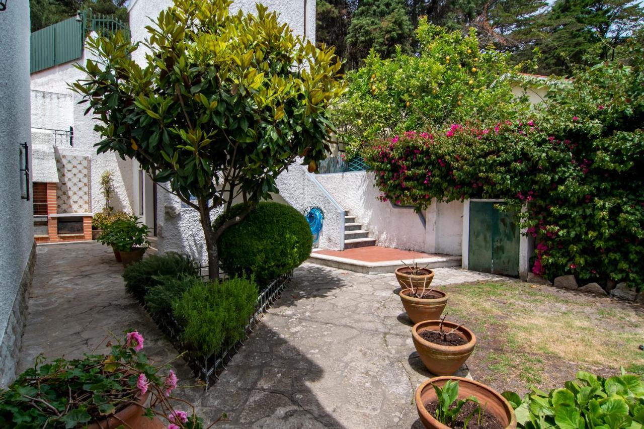 Vivenda Santiago Villa Sesimbra Ngoại thất bức ảnh